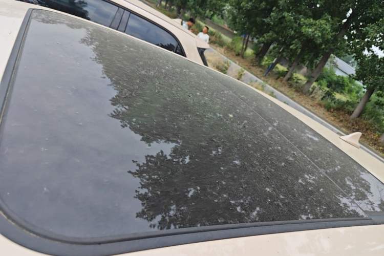 Used ORA Good Cat 2022 400km Standard Range Premium Version Lithium-Ion Battery Roof