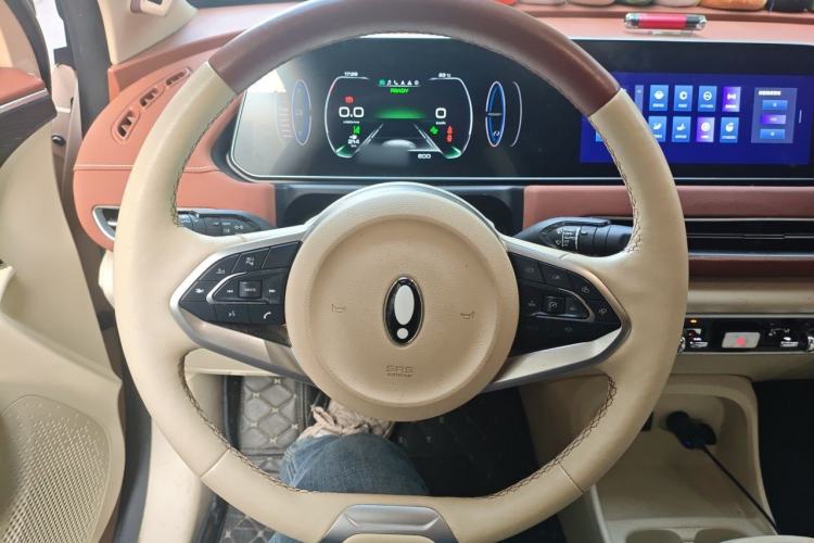 Used ORA Good Cat 2022 Morandi Edition 400km Standard Range Premium Version Lithium-Ion Battery Steering Wheel