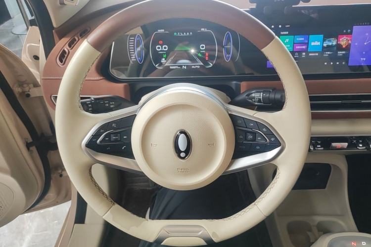 Used ORA Good Cat 2022 Morandi Edition 400km Standard Range Premium Version Lithium Iron Phosphate Steering Wheel