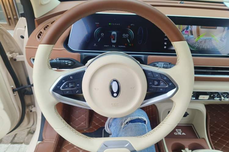Used ORA Good Cat 2022 400km Standard Range Luxury Version Lithium Iron Phosphate Steering Wheel