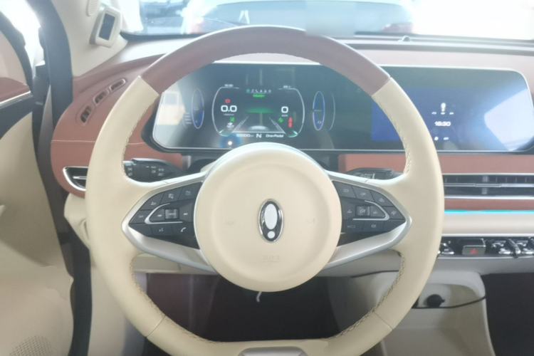Used ORA Good Cat 2022 Morandi Edition 400km Standard Range Premium Version Lithium Iron Phosphate Steering Wheel
