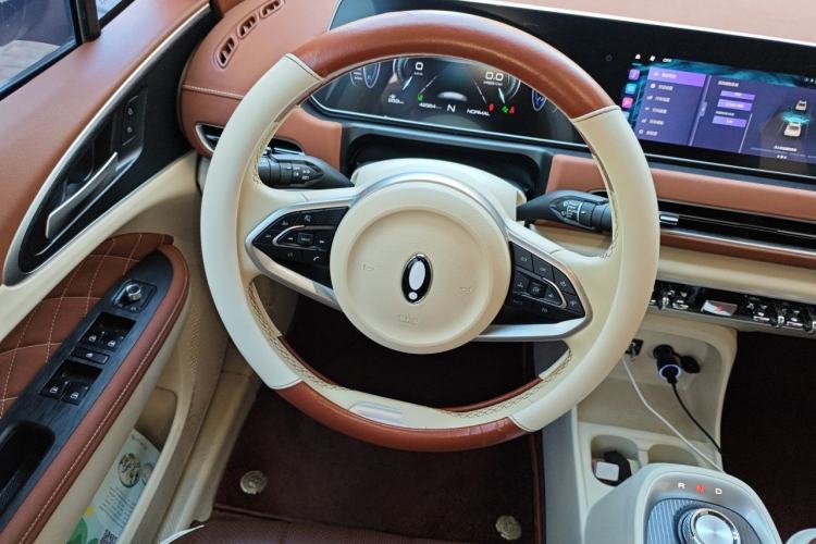 Used ORA Good Cat 2022 Morandi Edition 400km Standard Range Luxury Version Lithium-Ion Battery Steering Wheel