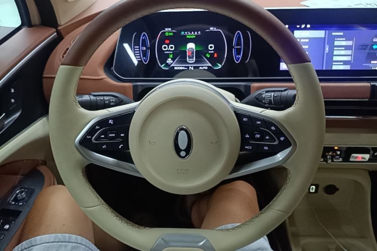 Used ORA Good Cat 2022 Morandi Edition 400km Standard Range Luxury Version Lithium-Ion Battery Steering Wheel
