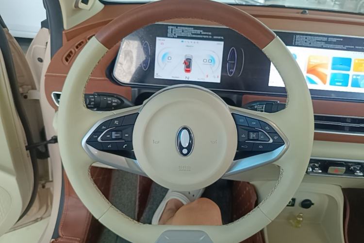 Used ORA Good Cat 2022 Morandi Edition 400km Standard Range Premium Version Lithium Iron Phosphate Steering Wheel