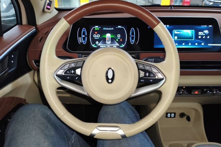 Used ORA Good Cat 2022 400km Standard Range Premium Version Lithium Iron Phosphate Steering Wheel