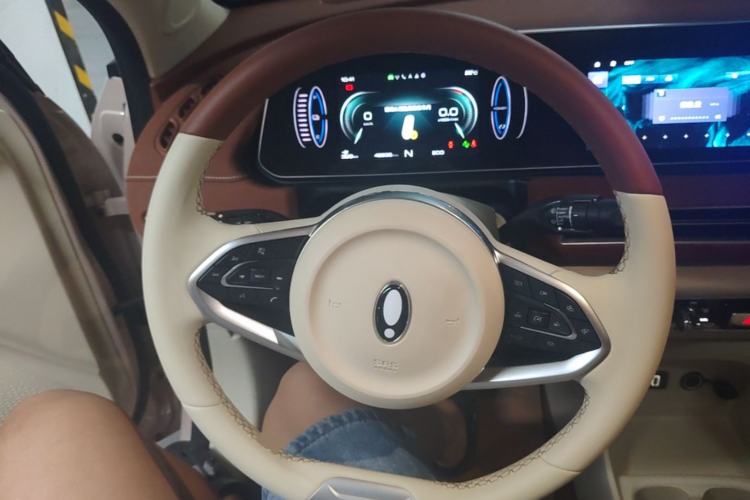Used ORA Good Cat 2022 Morandi Edition 400km Standard Range Luxury Version Lithium-Ion Battery Steering Wheel