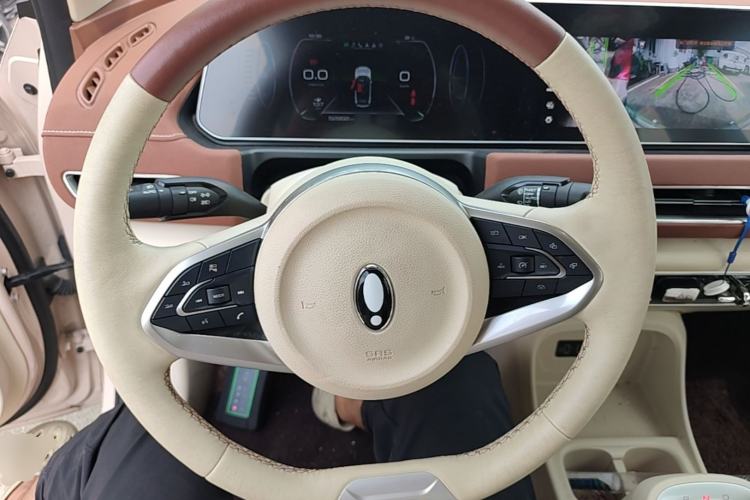 Used ORA Good Cat 2022 400km Standard Range Premium Version Lithium Iron Phosphate Steering Wheel