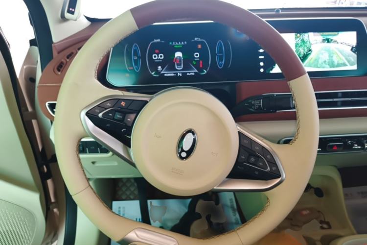 Used ORA Good Cat 2022 Morandi Edition 400km Standard Range Premium Version Lithium Iron Phosphate Steering Wheel