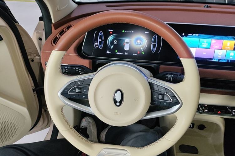 Used ORA Good Cat 2022 Morandi Edition 400km Standard Range Premium Version Lithium Iron Phosphate Steering Wheel