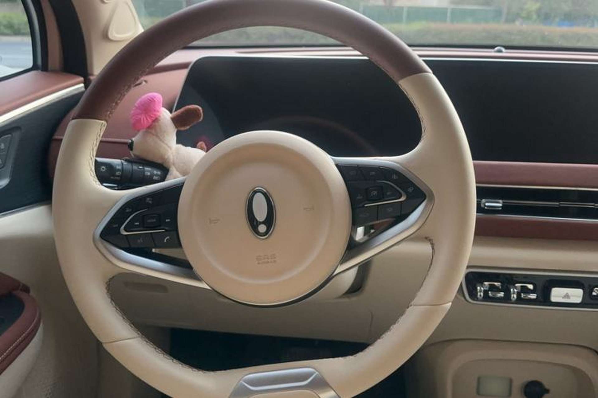 Used ORA Good Cat 2022 Morandi Edition 400km Standard Range Luxury Version Lithium-Ion Battery Steering Wheel