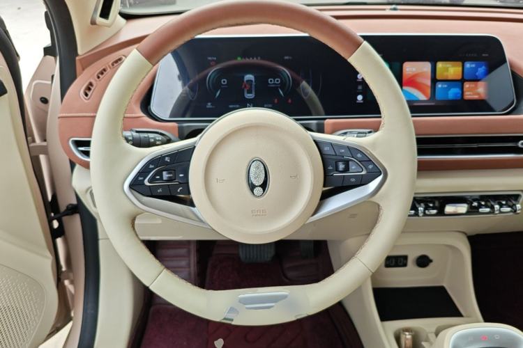 Used ORA Good Cat 2022 400km Standard Range Premium Version Lithium Iron Phosphate Steering Wheel