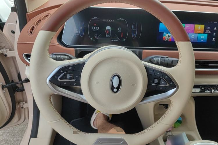 Used ORA Good Cat 2022 400km Standard Range Luxury Version Lithium Iron Phosphate Steering Wheel