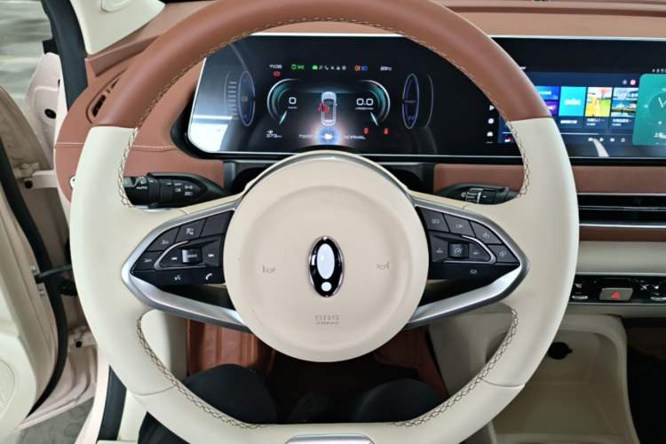 Used ORA Good Cat 2022 Morandi Edition 400km Standard Range Luxury Version Lithium Iron Phosphate Steering Wheel