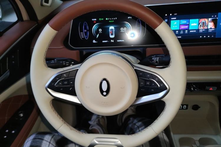 Used ORA Good Cat 2022 Morandi Edition 400km Standard Range Premium Version Lithium-Ion Battery Steering Wheel