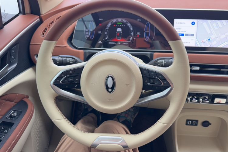 Used ORA Good Cat 2022 400km Standard Range Luxury Version Lithium Iron Phosphate Steering Wheel