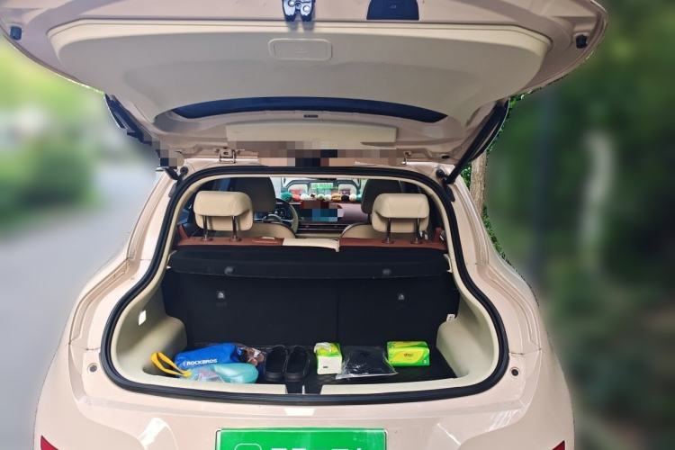 Used ORA Good Cat 2022 Morandi Edition 400km Standard Range Premium Version Lithium-Ion Battery Trunk