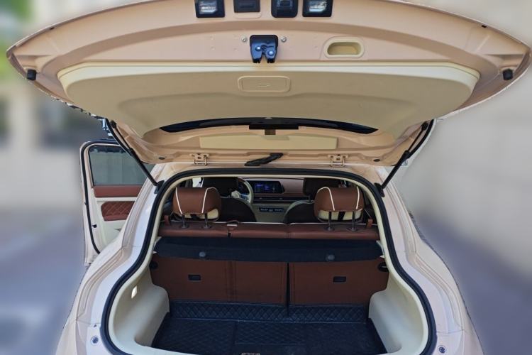 Used ORA Good Cat 2022 Morandi Edition 400km Standard Range Luxury Version Lithium-Ion Battery Trunk