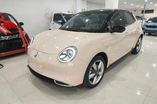 Used ORA Good Cat 2022 Morandi Edition 400km Standard Range Premium Version Lithium-Ion Battery