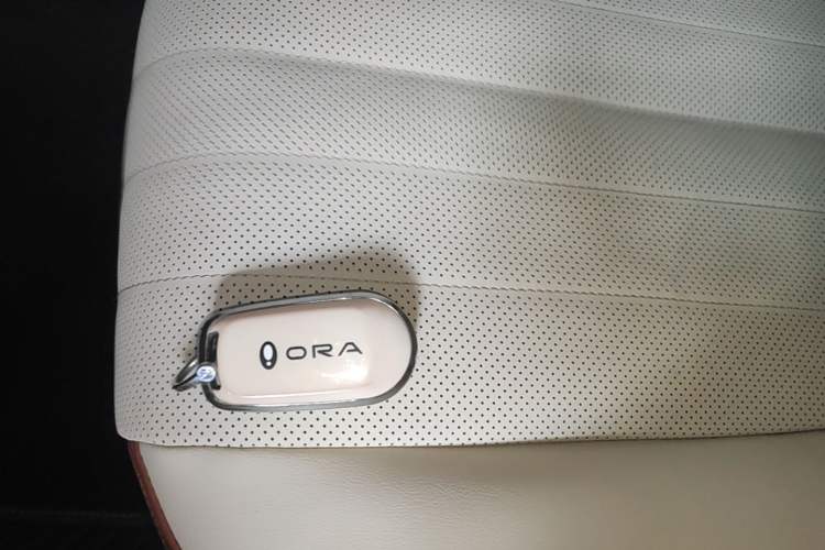 Used ORA Good Cat 2022 Morandi Edition 400km Standard Range Premium Version Lithium Iron Phosphate Vehicle Key