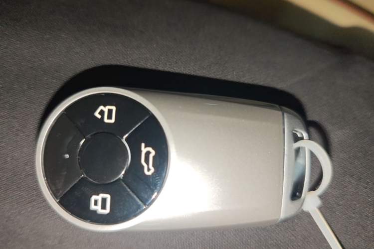 Used ORA Good Cat 2022 400km Standard Range Luxury Version Lithium Iron Phosphate Vehicle Key