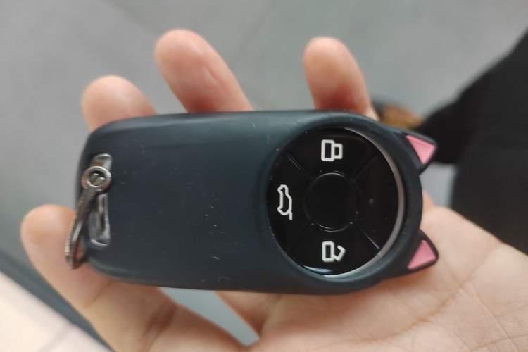 Used ORA Good Cat 2022 Morandi Edition 400km Standard Range Two-Week Young Enjoyment Version Lithium Iron Phosphate Vehicle Key
