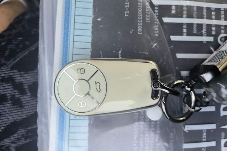 Used ORA Good Cat 2022 400km Standard Range Premium Version Lithium Iron Phosphate Vehicle Key