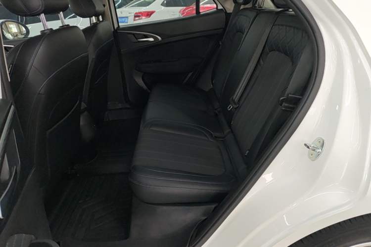 Used ORA Good Cat 2022 400km Standard Range Luxury Version Lithium Iron Phosphate Left Rear Seat