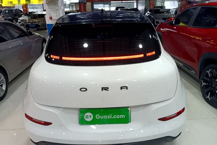 Used ORA Good Cat 2022 Morandi Edition 400km Standard Range Premium Version Lithium-Ion Battery Rear