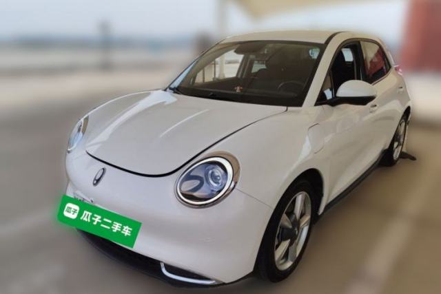 Ojetý ORA Good Cat 2022 400km Standard Range Luxury Version Lithium Iron Phosphate