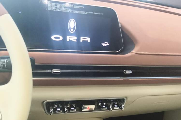 Used ORA Good Cat 2022 Morandi Edition 400km Standard Range Premium Version Lithium-Ion Battery Audio And AC Panel