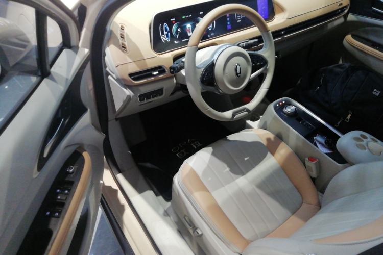Used ORA Good Cat 2022 Morandi Edition 400km Standard Range Luxury Version Lithium Iron Phosphate Driver Seat