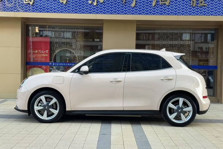 Used ORA Good Cat 2022 Morandi Edition 400km Standard Range Two-Week Young Enjoyment Version Lithium Iron Phosphate Exterior 2