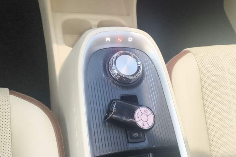 Used ORA Good Cat 2022 Morandi Edition 400km Standard Range Premium Version Lithium-Ion Battery Gear Lever