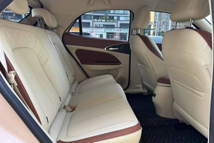 Used ORA Good Cat 2022 Morandi Edition 400km Standard Range Two-Week Young Enjoyment Version Lithium Iron Phosphate Interior 4