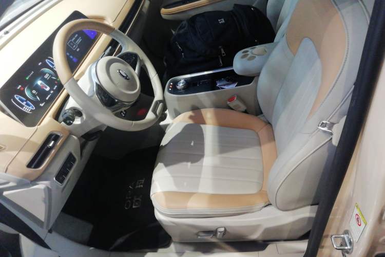 Used ORA Good Cat 2022 Morandi Edition 400km Standard Range Luxury Version Lithium Iron Phosphate Left Front Seat