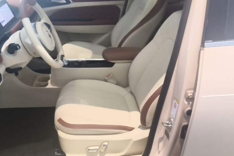 Used ORA Good Cat 2022 Morandi Edition 400km Standard Range Premium Version Lithium-Ion Battery Left Front Seat