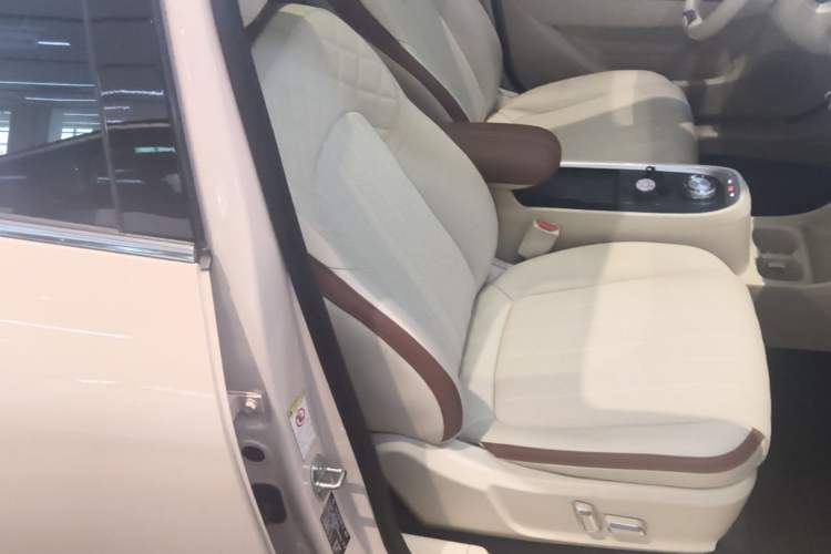 Used ORA Good Cat 2022 Morandi Edition 400km Standard Range Premium Version Lithium-Ion Battery Right Front Seat