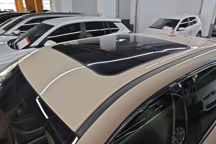 Used ORA Good Cat 2022 Morandi Edition 400km Standard Range Premium Version Lithium-Ion Battery Roof