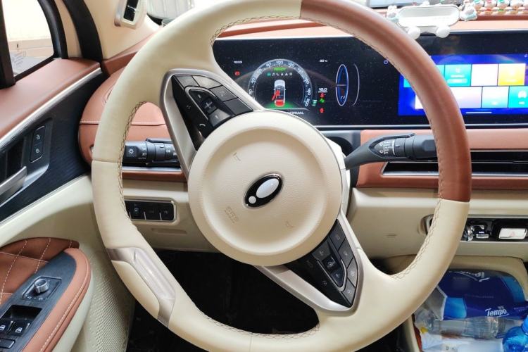 Used ORA Good Cat 2022 Morandi Edition 400km Standard Range Premium Version Lithium Iron Phosphate Steering Wheel