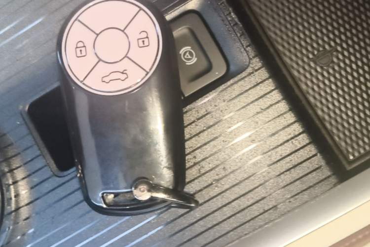 Used ORA Good Cat 2022 Morandi Edition 400km Standard Range Premium Version Lithium-Ion Battery Vehicle Key