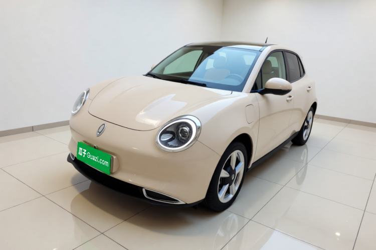 Used ORA Good Cat 2023 401 km Standard Range Luxury Version Lithium Iron Phosphate Guazi used car, China used car export, Used car for sale, Used  cars, Cheapest cars for sale