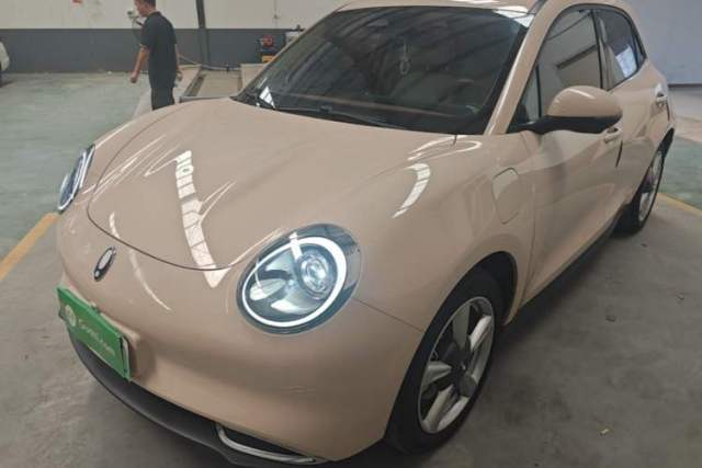 Used ORA Good Cat 2023 401 km Standard Range Luxury Version Ternary Lithium