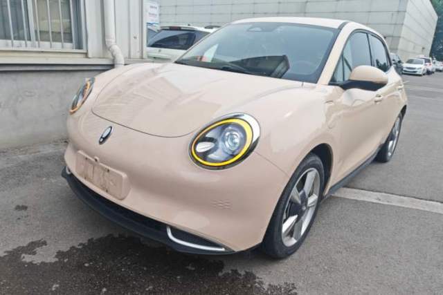 Used ORA Good Cat 2023 401 km Standard Range Luxury Version Lithium Iron Phosphate