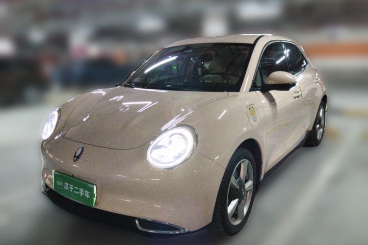 Used ORA Good Cat 2023 401 km Standard Range Luxury Version Lithium Iron Phosphate Guazi used car, China used car export, Used car for sale, Used  cars, Cheapest cars for sale