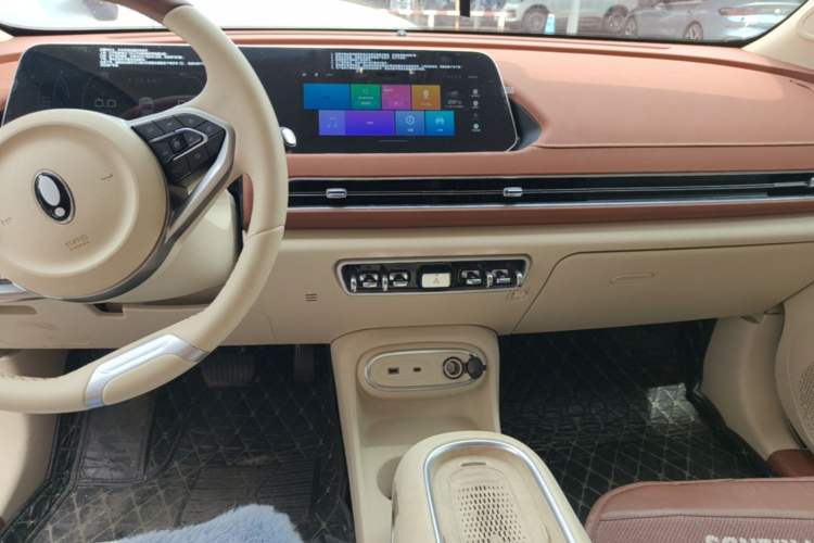 Used ORA Good Cat 2023 401 km Standard Range Luxury Version Lithium Iron Phosphate Audio And AC Panel