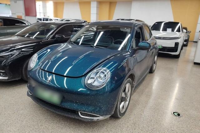 Used ORA Good Cat 2023 401 km Standard Range Luxury Version Lithium Iron Phosphate
