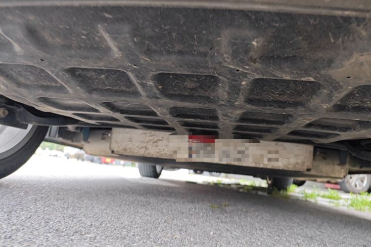 Used ORA Good Cat 2023 401 km Standard Range Prestige Version Lithium Iron Phosphate Chassis Rear