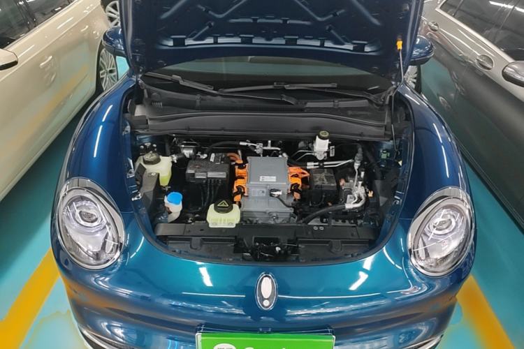 Used ORA Good Cat 2023 401 km Standard Range Luxury Version Lithium Iron Phosphate Engine Bay
