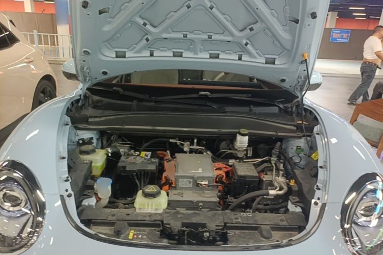 Used ORA Good Cat 2023 401 km Standard Range Premium Version Lithium Iron Phosphate Engine Bay