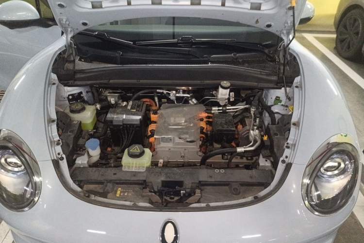 Used ORA Good Cat 2023 401 km Standard Range Prestige Version Lithium Iron Phosphate Engine Bay